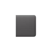 Immagine SIDEBUTTON (1-GANG/2-WAY) [55] ASP GREY TASTO PE