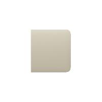 Immagine SIDEBUTTON (1-GANG/2-WAY) [55] ASP IVORY TASTO PE