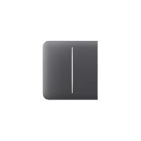 Immagine SIDEBUTTON (2-GANG) [55] ASP GRAPHITE TASTO PER