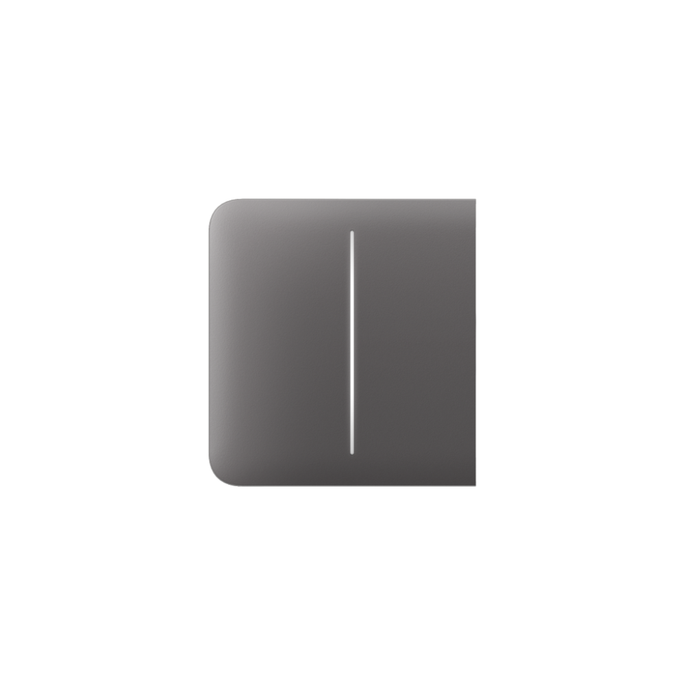 Immagine SIDEBUTTON (2-GANG) [55] ASP GREY SIDEBUTTON (2-