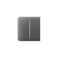 Immagine SIDEBUTTON (2-GANG) [55] ASP GREY SIDEBUTTON (2-