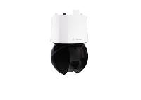 Immagine PTZ 2MP HDR 40X IP66 PENDANT IR